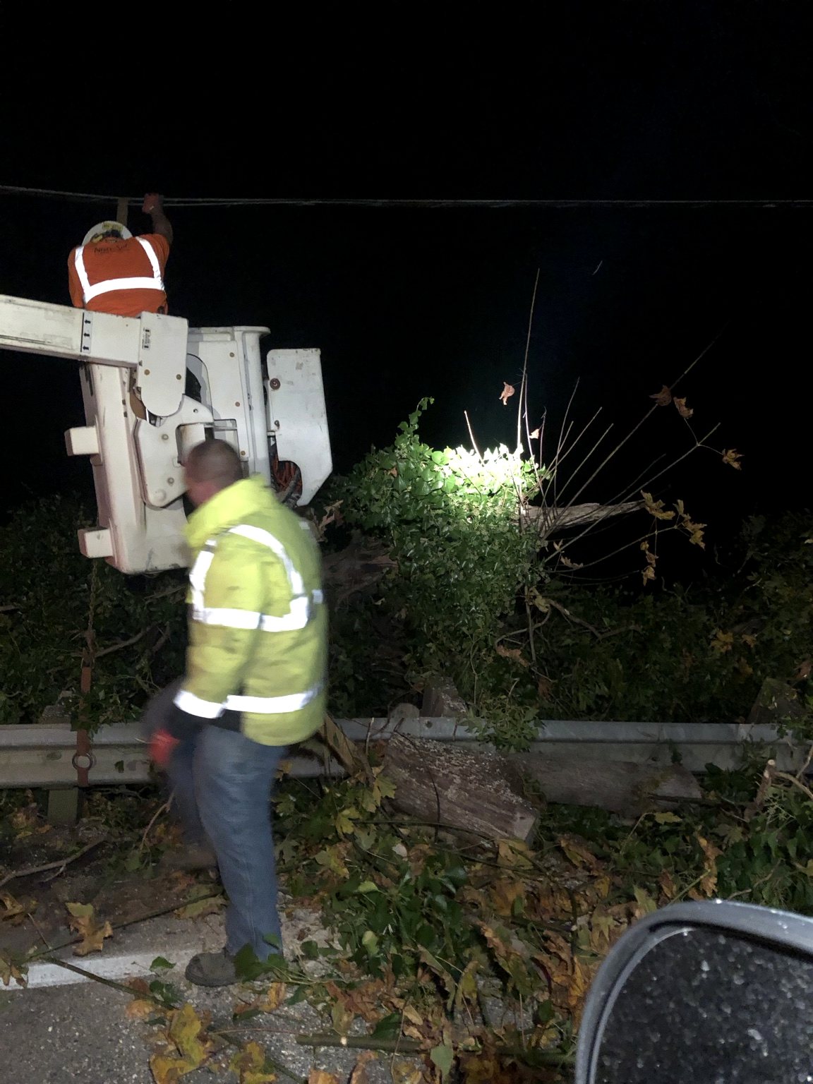 D & L Poles project photo 14