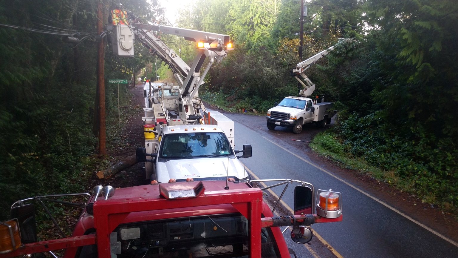 D & L Poles project photo 19