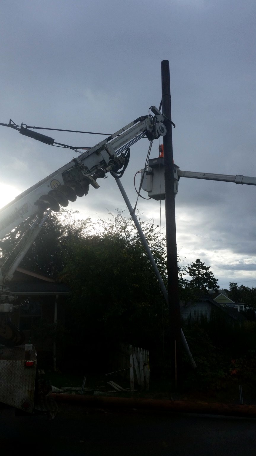 D & L Poles project photo 21