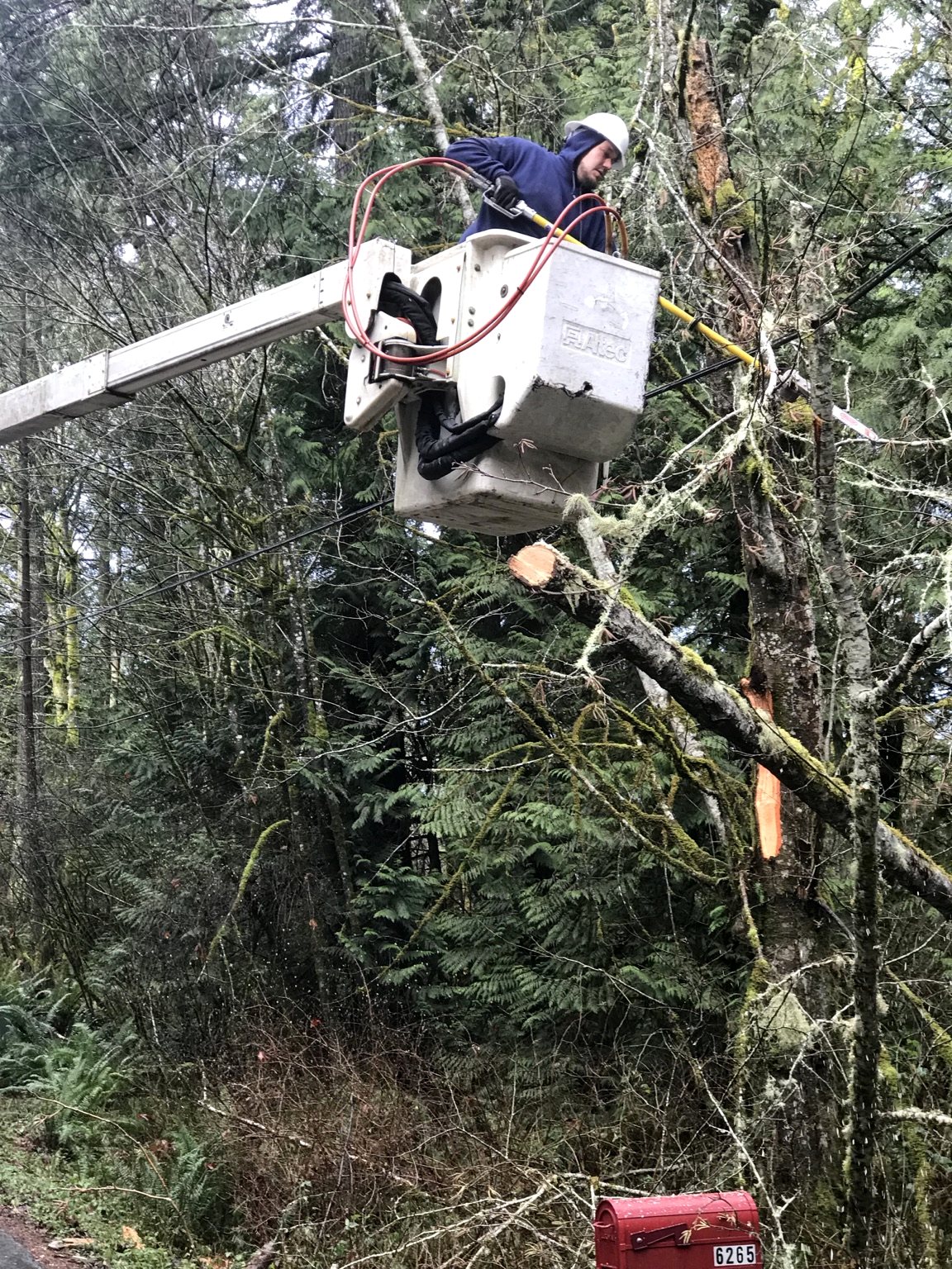 D & L Poles project photo 26
