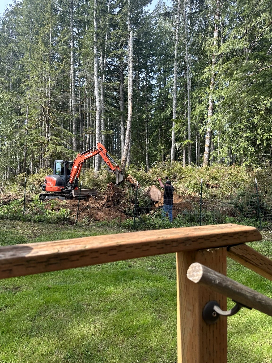 D & L Poles project photo 50
