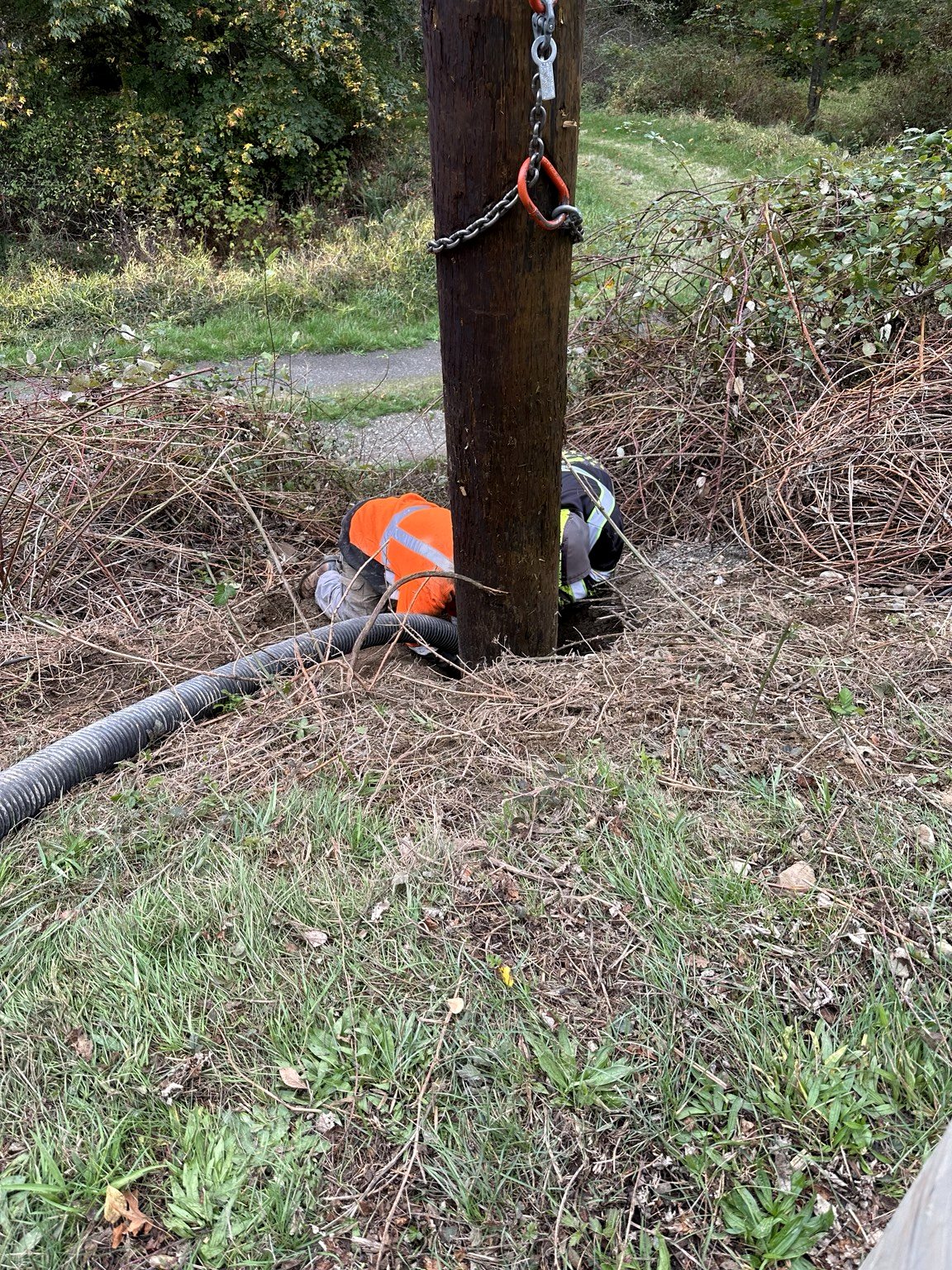 D & L Poles project photo 51
